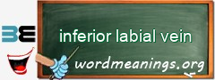 WordMeaning blackboard for inferior labial vein
